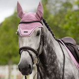 Horse wearing a pink mesh fly hood on a blurred leafy background