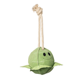 Toy sprout with rope attachment on a white background