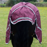 Horse wearing a burgundy rug with reflective stripes in an outdoor setting
