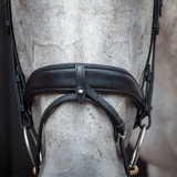 Close-up of a horse's head wearing a black bridle with a blurred background