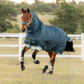 Horse gallops in field wearing a blue rug