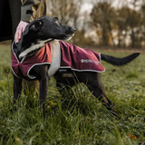 Dog wearing a red coat with 'REINCOAT' branding in a grassy field.