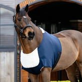 Horse wears a chest bib in navy in a stable yard