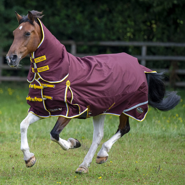 Horse wearing a burgundy rug with yellow trim running on grass