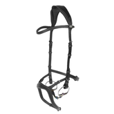 Black horse bridle on a white background