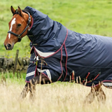 Horse wearing a navy blue turnout rug canters in a field with long grass