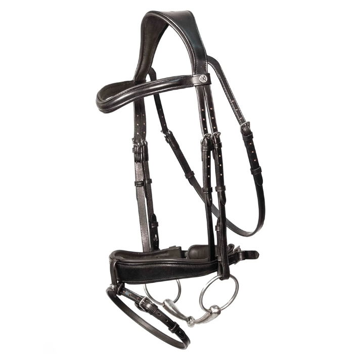 Black horse bridle with silver hardware on a white background