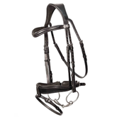 Black horse bridle with silver hardware on a white background
