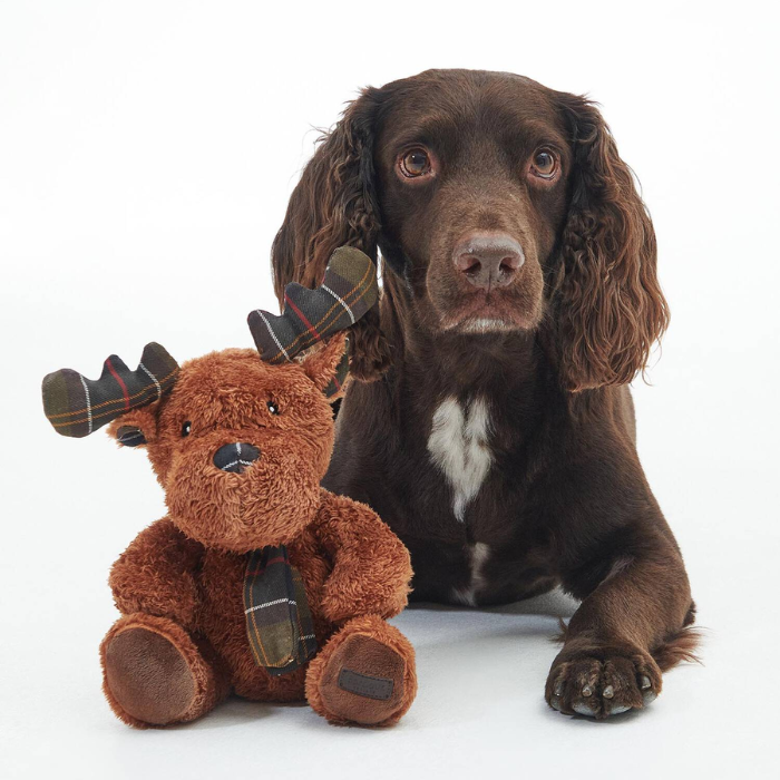Dog sits with plush reindeer toy on a light grey background