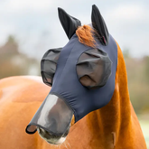 Horse wearing a blue fly mask with a blurred outdoor background