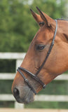 Shires Velociti Gara Flash Noseband-Browbands & Bridle Accessories-Eland Lodge