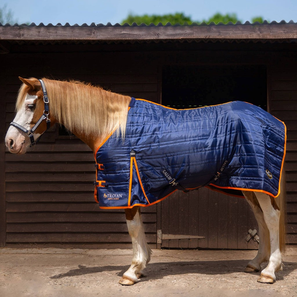 Gallop Equestrian Trojan 100g Stable Rug