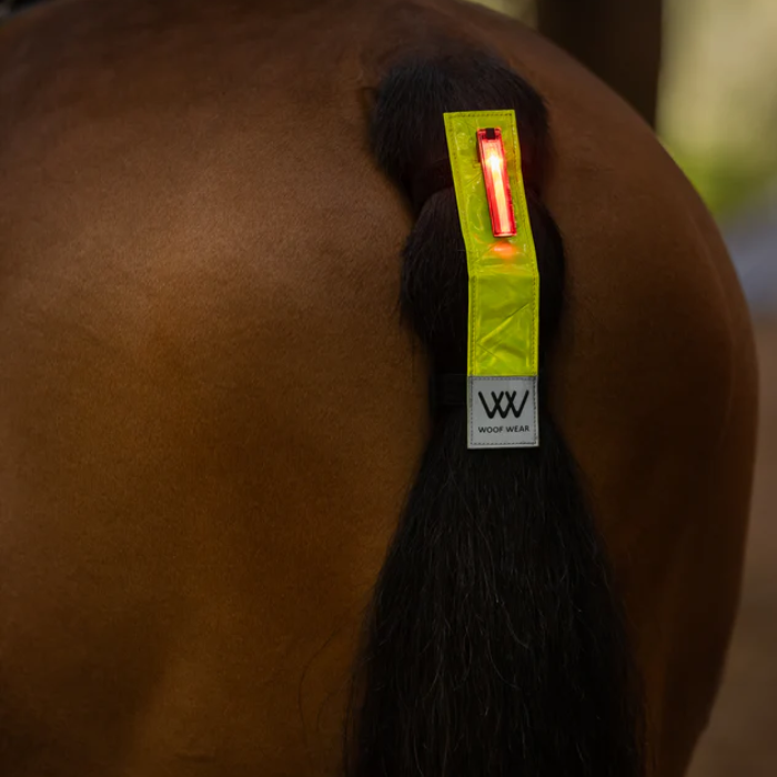 Woof Wear Rechargable Hi Vis LED Tail Light-Hi Viz Accessories-Eland Lodge