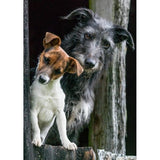 Charles Sainsbury-Plaice Peanut & Rabbit Greeting Card