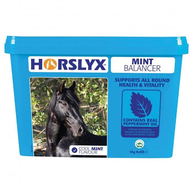 Horslyx Mint Balancer