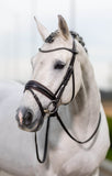 LeMieux Classic Dressage Bridle