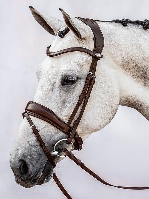 PS of Sweden Flying Change Bridle