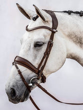 PS of Sweden Flying Change Bridle