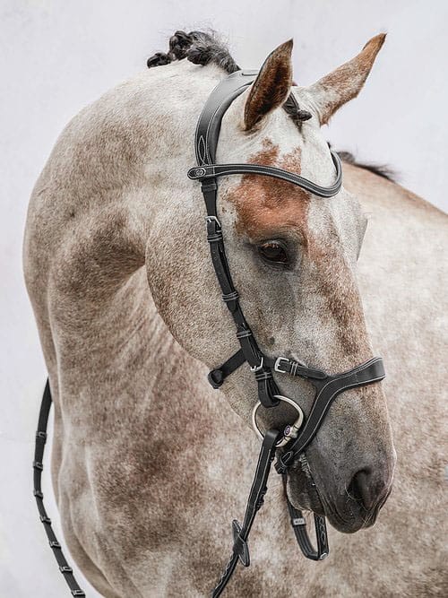 PS of Sweden Nirak Bridle