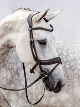 PS of Sweden Paladin Bridle