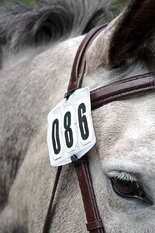Shires Bridle Number Kit- Clear