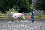 Shires Lunge Whip