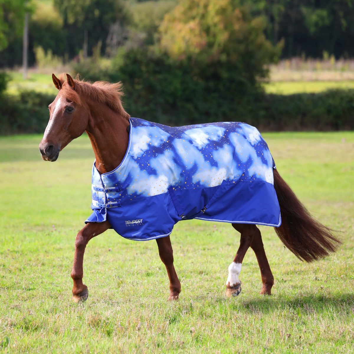 Shires Tempest Original 200g Turnout Rug