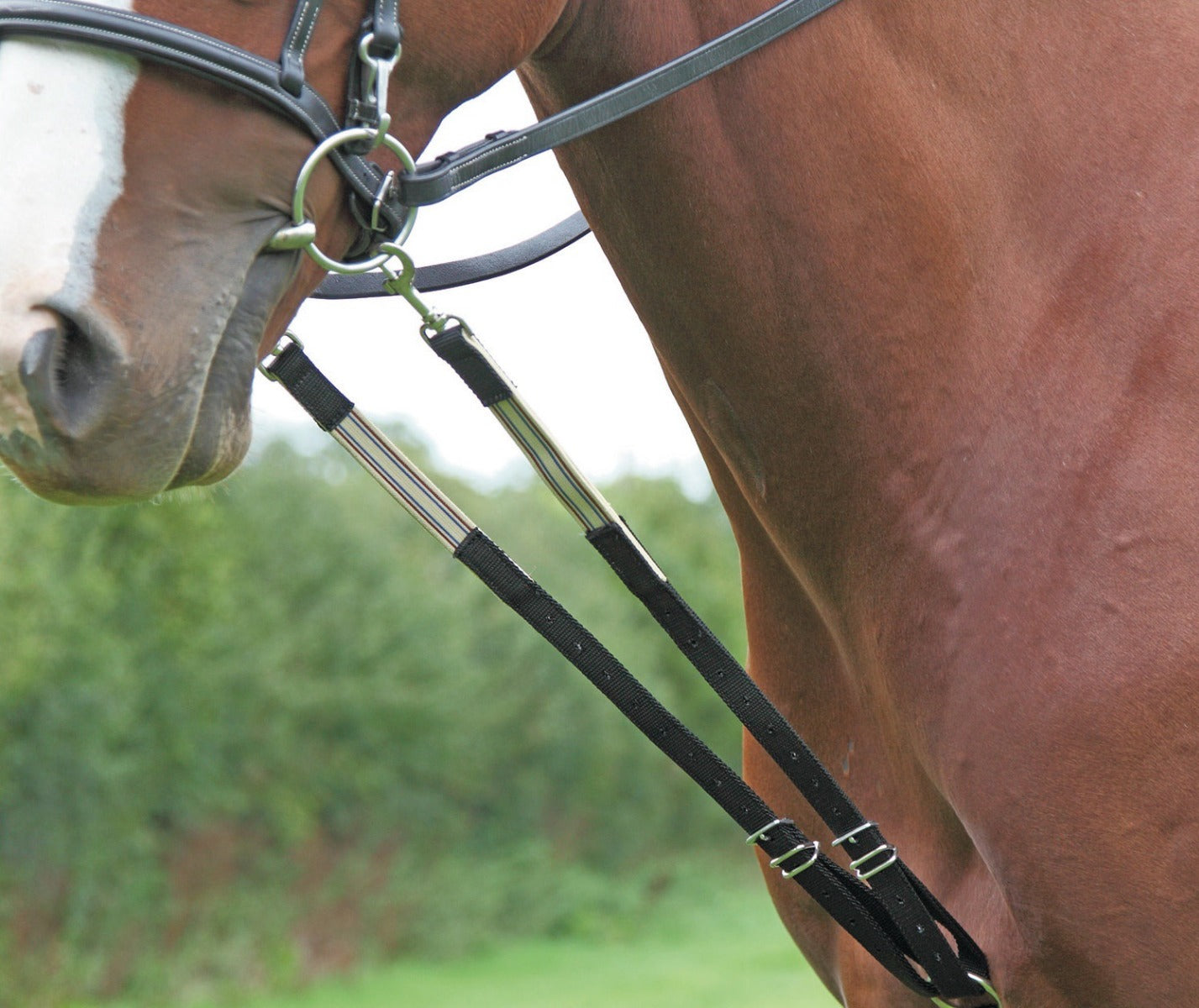 Shires The Original Harbridge Training Aid