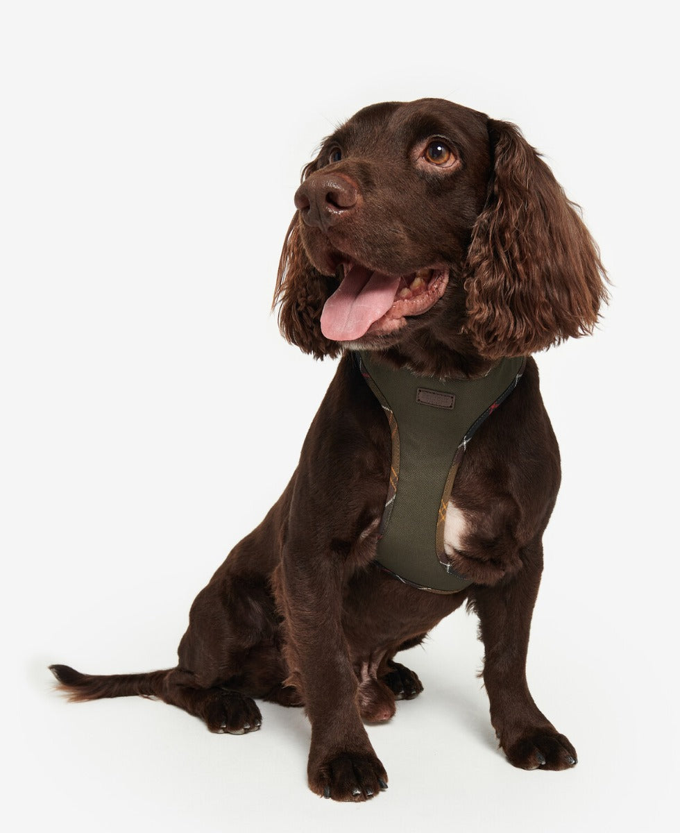 Barbour shop harness small