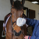 Carr & Day & Martin Belvoir Step 1 Cleaning Mitt-Tack Care & Cleaners-Eland Lodge