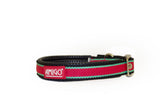 Horseware Amigo Dog Collar-Dog Leads & Collars-Eland Lodge
