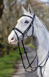 LeMieux Competition Flash Bridle