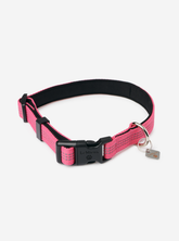 LeMieux Henley Webbing Dog Collar