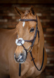LeMieux Grackle Bridle-Bridles-Eland Lodge