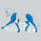 Prolite Dressage Standard Gauge Girth-Girths-Eland Lodge