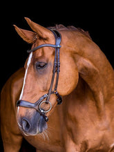PS of Sweden Pioneer Bridle