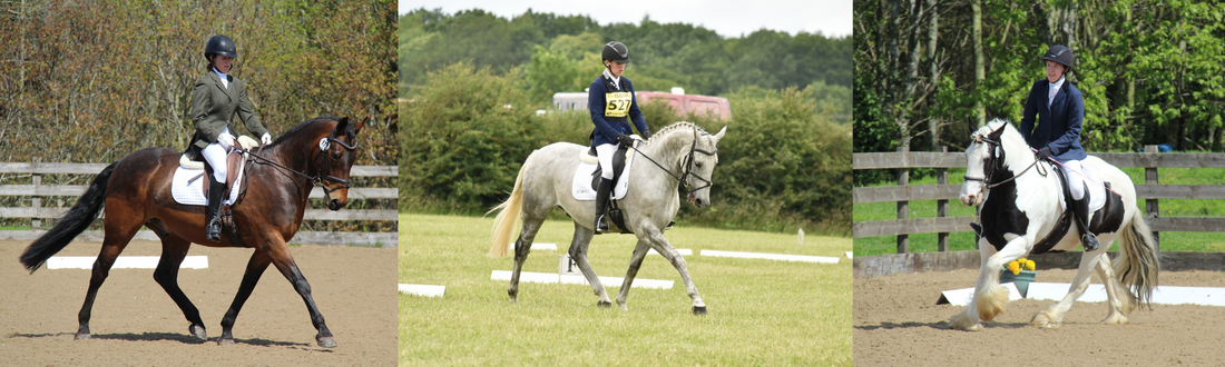 Everything You Need To Know About Dressage