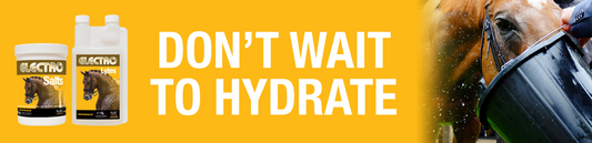 Electrolytes & Hydration with NAF