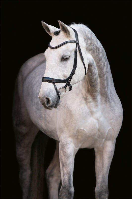 Schockemohle Equitus Anatomical Bridles