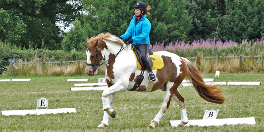 Adult Riding Camps: Mock ODE Dressage Test List