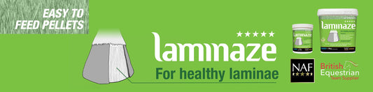 Autumn Grass Growth & NAF Five Star Laminaze