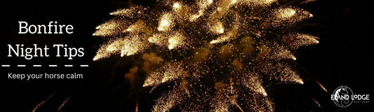 Bonfire Night Tips For Horses