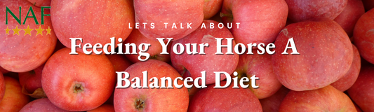 Feeding your horse a balanced diet- with NAF
