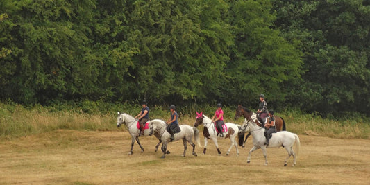 Fit for camp: Horse fitness