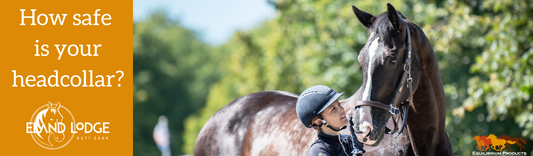 How safe is your headcollar?