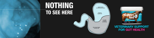 Is there scope for improvement? - with NAF