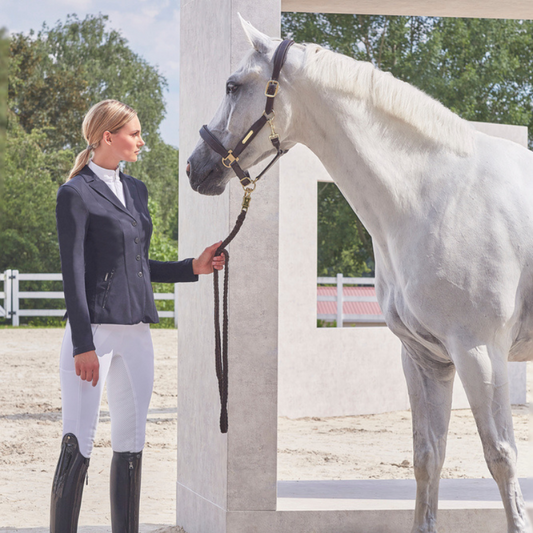 Pikeur breeches - A buyer’s guide