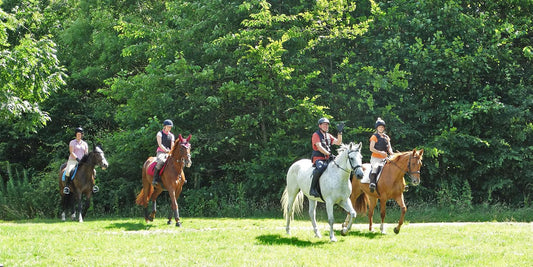 Preparing for Adult Riding Camp: Things to try