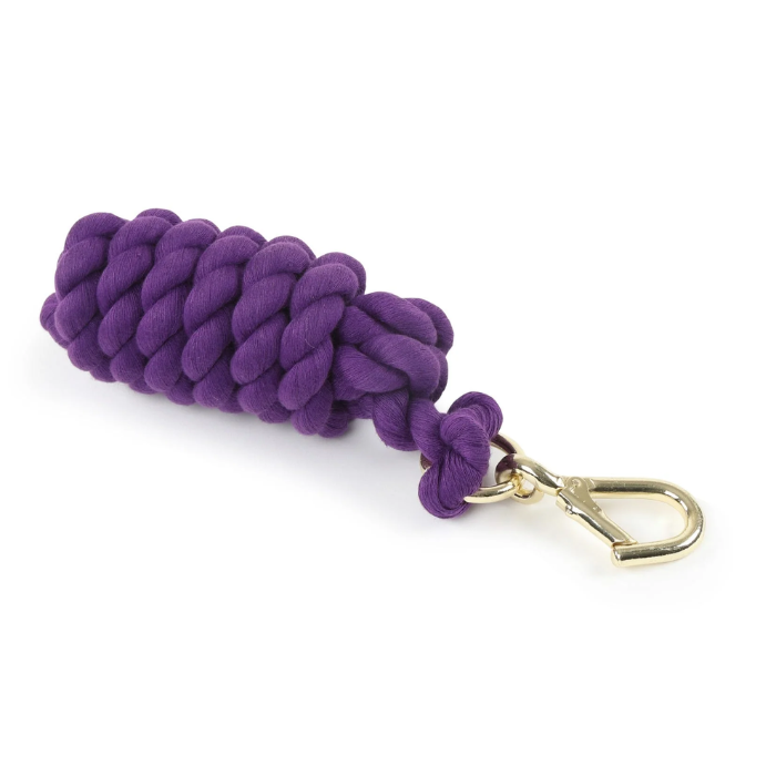 Purple leadrope with gold clip on a white background. 