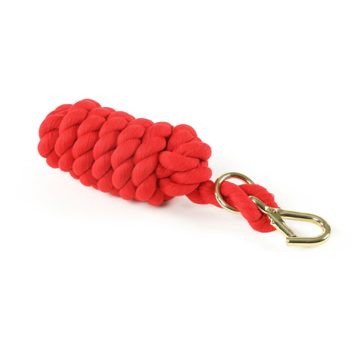 Red leadrope with gold clip on a white background. 
